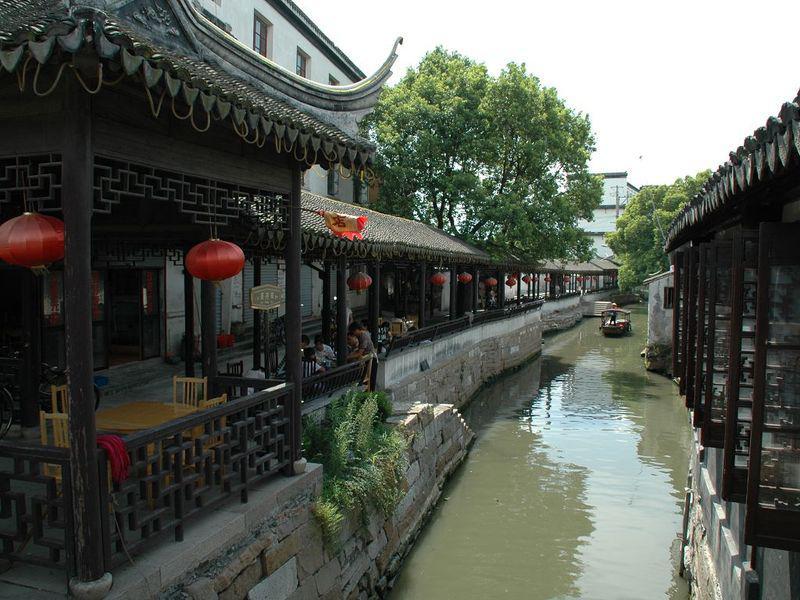 逃离金刚鹦鹉森林